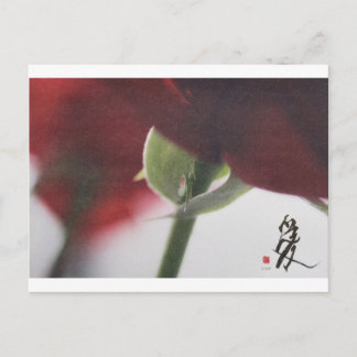 meitokai postcard 7