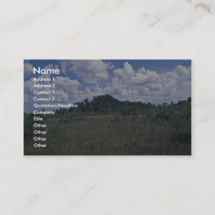 Melaleuca Business Card