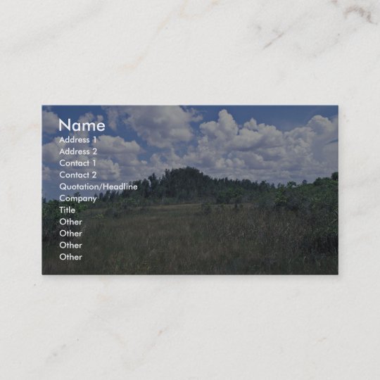 Melaleuca Business Card