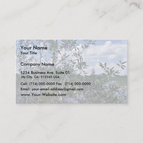 Melaleuca in swamp area business card templates