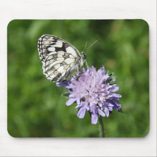 Melanargia galathea mouse pad