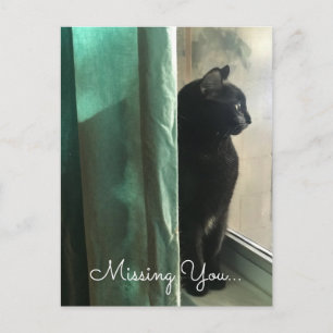 Melancholic Black Cat Missing You Social Distance Postcard