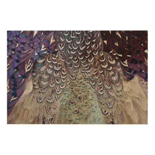Melanistic Pheasant Feather Abstract Wood Wall Decor