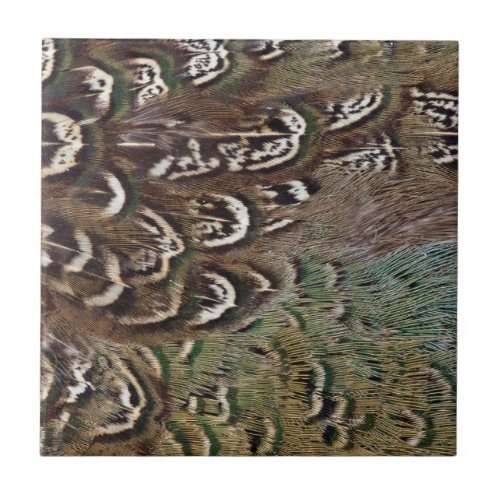 Melanistic Pheasant Feather Detail Tile