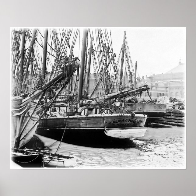 Melbourne, 1903:  The Alma Doepel Poster (Front)