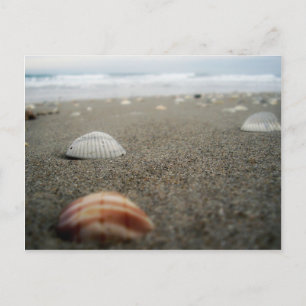 Melbourne beach, Florida Postcard