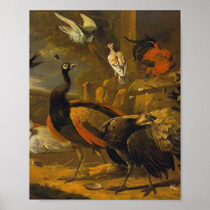 Melchior d'Hondecoeter - Birds in a Park Poster