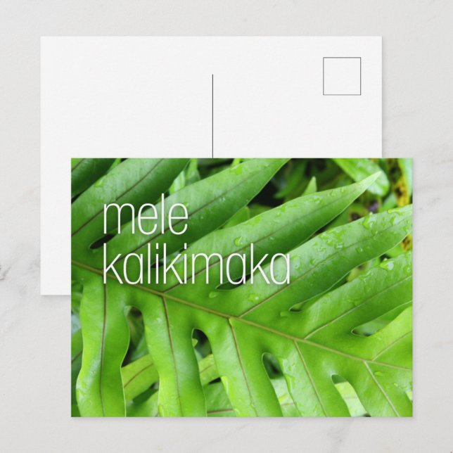 Mele Kalikimaka Holiday Merry Christmas Card (Front/Back)