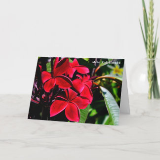 Mele Kalikimaka Plumeria Holiday Card