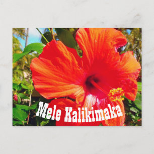Mele Kalikimaka Postcard