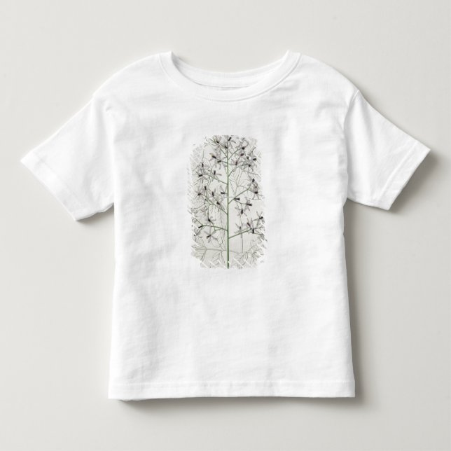 Melia Azedarach from 'Phytographie Medicale' by Jo Toddler T-shirt (Front)