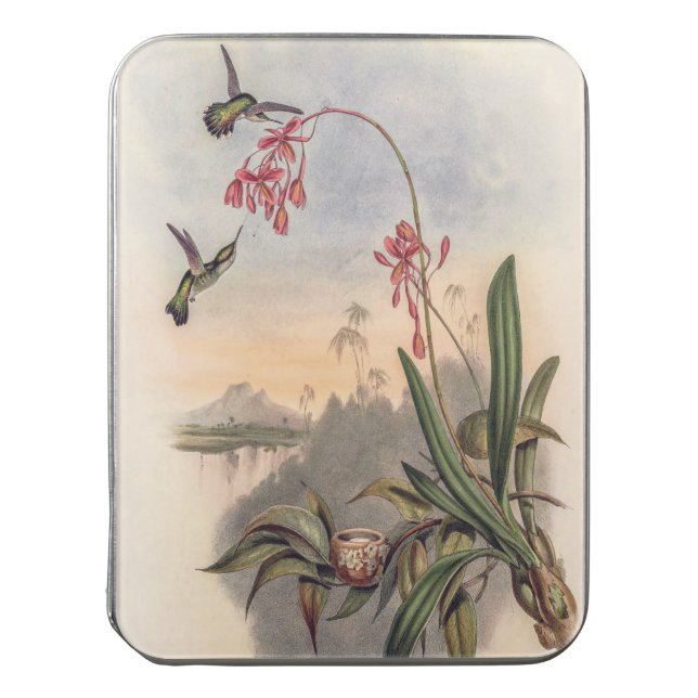 Mellisuga Minima Hummingbirds by John Gould Jigsaw Puzzle (Lid Vertical)