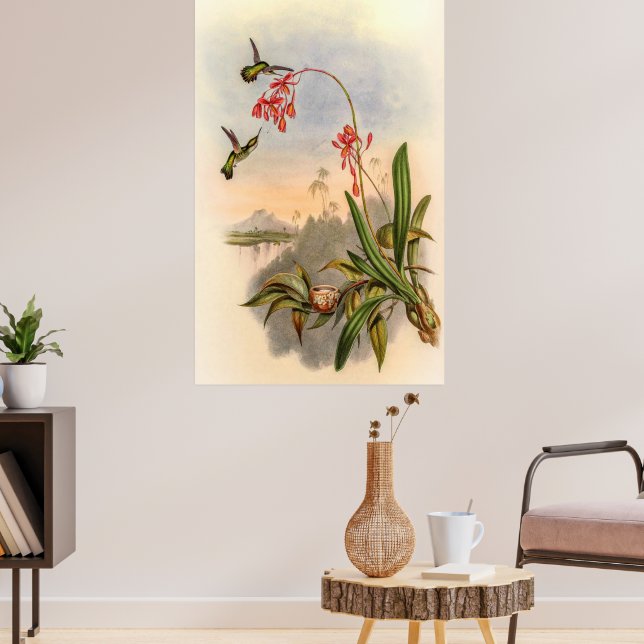 Mellisuga Minima Hummingbirds by John Gould Poster (Living Room 3)