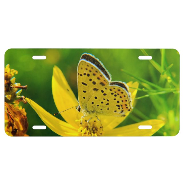 Mellow Yellow Butterfly License Plate (Front)