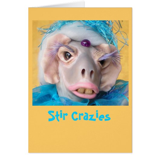 Melodious Melvina Card (Front)