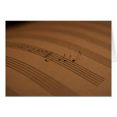 Melody (Front Horizontal)