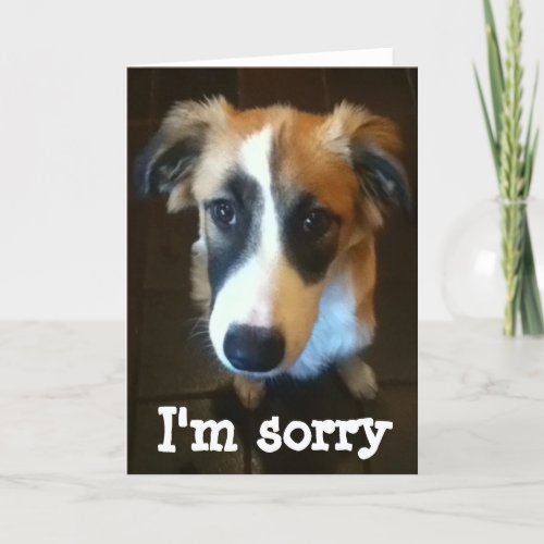 Melody Im sorry Card