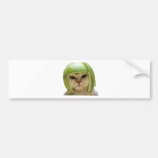 melon cat bumper sticker