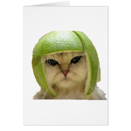 melon cat cards (Front)