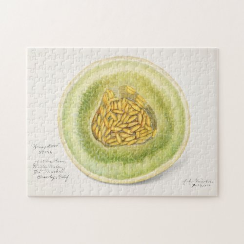 Melon Cucumis Melo Fruit Watercolor Painting Jigsaw Puzzle