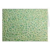 melon pattern (Front Horizontal)