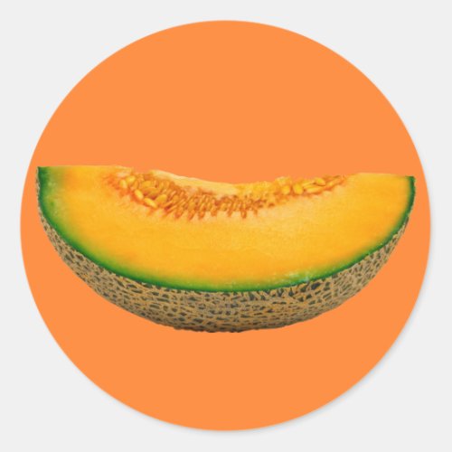 Melon Slice Classic Round Sticker