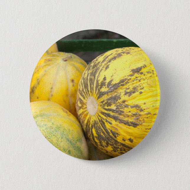 Melons Pinback Button (Front)