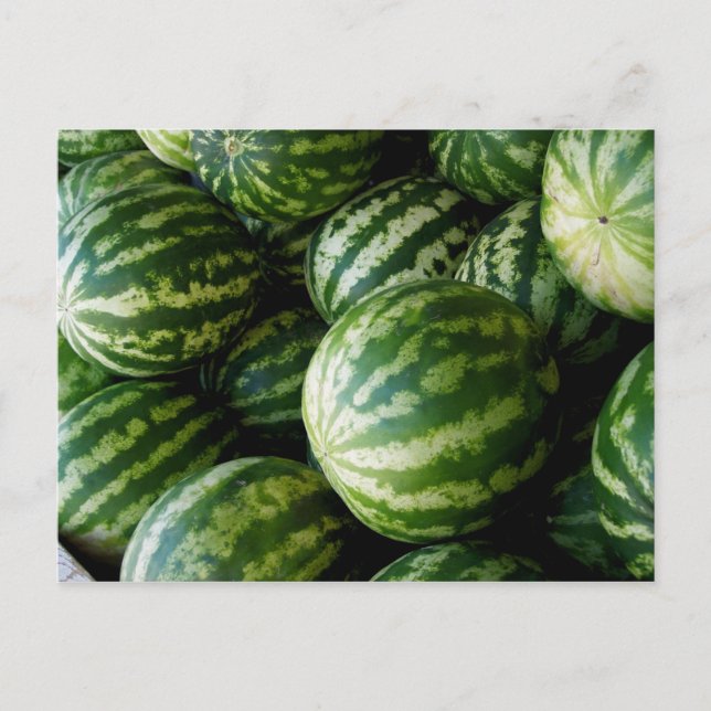 Melons Postcard (Front)