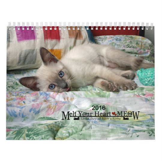 Melt Your Heart - MEOW 2016 Kitten Calendar Zazzle.com