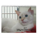 Melt Your Heart - Meow 2017 Kitten Calendar at Zazzle