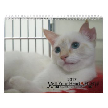 Melt Your Heart - Meow 2017 Kitten Calendar by Melt_Your_Heart_MEOW at Zazzle