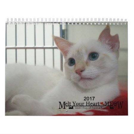 Melt Your Heart - Meow 2017 Kitten Calendar