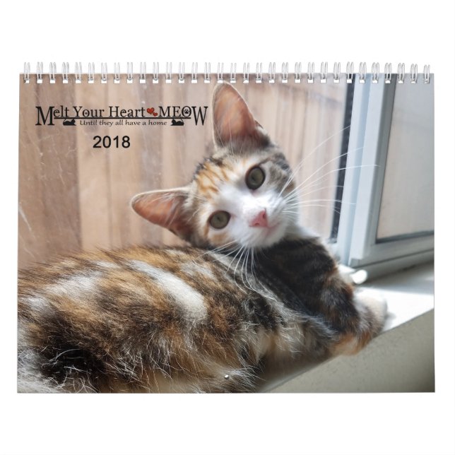 Melt Your Heart - MEOW 2018 Kitten Calendar (Cover)