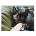 Melt Your Heart - MEOW 2016 Kitten Calendar  Zazzle.com