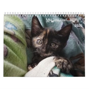 Melt Your Heart - Meow 2020 Kitten Calendar by Melt_Your_Heart_MEOW at Zazzle