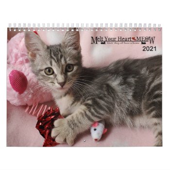Melt Your Heart - Meow 2021 Kitten Calendar by Melt_Your_Heart_MEOW at Zazzle