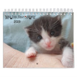Melt Your Heart - Meow 2023 Kitten Calendar at Zazzle