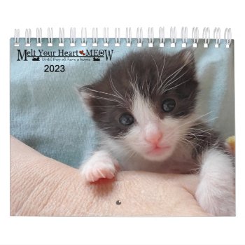 Melt Your Heart - Meow 2023 Kitten Calendar by Melt_Your_Heart_MEOW at Zazzle