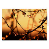 Melting Dawn (Front Horizontal)