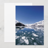 Melting Ice (Front/Back)