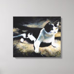 Melvin the Cat Fine Art  Canvas Print