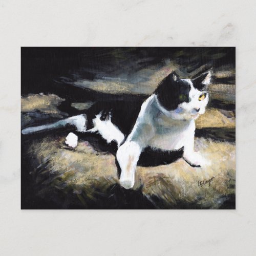 Melvin the Cat Fine Art Postcard