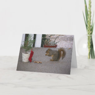Melvin's Christmas Greeting Card