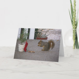 Melvin's Christmas Greeting Card