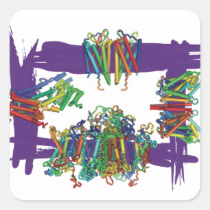 Membrane Proteins Through A Box Stickers