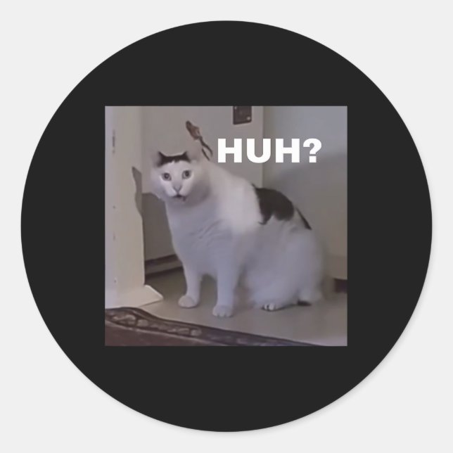 Meme Huh Cat  Classic Round Sticker (Front)