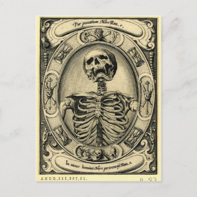 Memento Mori Postcard (Front)