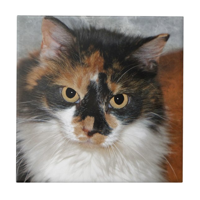 MeMeow Ceramic Tile (Front)