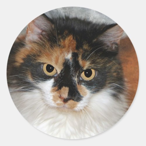 MeMeow Classic Round Sticker