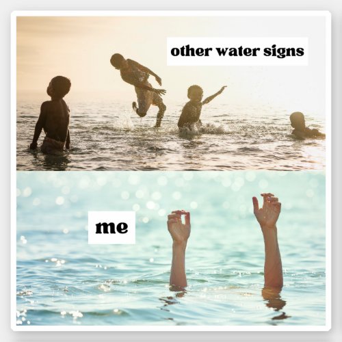 Memes Water Signs Astrology Fun Emotion Enjoy Sticker